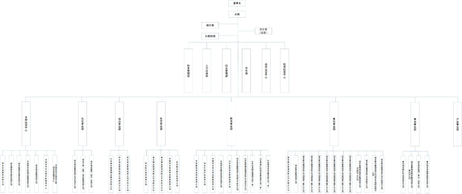 2024.10.23改-組織結構-銀豐物業(yè)+舜奧調(diào)整歸屬、新增青島瓏盛(1).jpg
